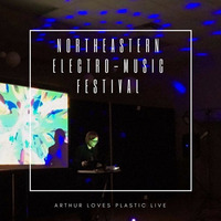 Live from the Northeastern Electro-Music Festival by Bev Stanton