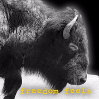 Freedom Feels Yellow Mix by Bev Stanton