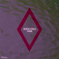 OUT NOW! Sentic Cycle - Padme EP [D9REC049]