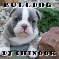 Bulldog by djchinook