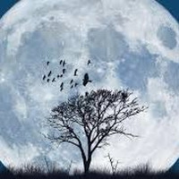 Hyana Cmiral - Full Moon Night by Hyana Cmiral