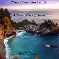 Classic House Vibes 14 - A Tribal State Of Groove by DJ Taz4All