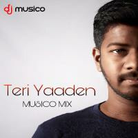 TERI YAADEN -  MUSICO MIX by DJ MUSICO