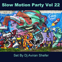 Slow Motion Party Vol 22 by Aviran's Music Place