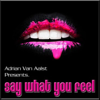 Say What You Feel (LOVE GRENADE MIX) by Adrian Van Aalst