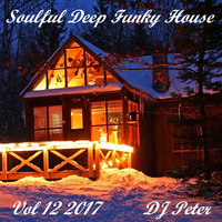 Soulful Deep Funky House Vol 12 2017 - DJ Peter by Peter Lindqvist