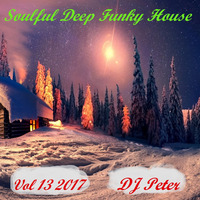 Soulful Deep Funky House Vol 13 2017 - DJ Peter by Peter Lindqvist