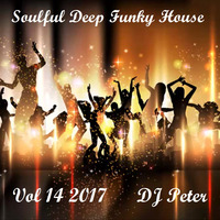 Soulful Deep Funky House Vol 14 2017 - DJ Peter by Peter Lindqvist