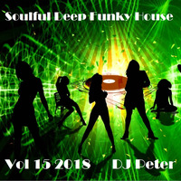 Soulful Deep Funky House Vol 15 2018 - DJ Peter by Peter Lindqvist