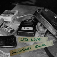 Data Love (brudicatdolls Remix) by brudicatdolls