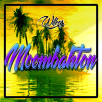 Moombahton Mix Seccion 2017 Set Por Wilker Player Dj (Remix Old School) by Wilker Player
