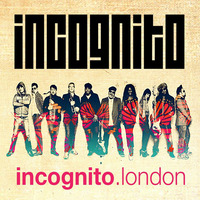Incognito - My Favourite Instrumental Tracks by Ivan S
