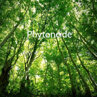 Phytoncide by Kanno Hisao