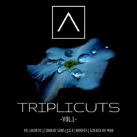 'Doubted Me' - Auxetic [Out Now] by Triplicate Audio