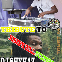 CULTURE TRIBUTE DJ SHYKAZ ROOTS MIXX by DJ SHYKAZ