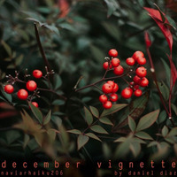 December Vignette (naviarhaiku206) by danieldiaz