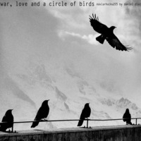 Love, war, and a circle of birds (naviarhaiku205) by danieldiaz