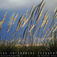 Las Cortaderas (Cuyana) naviarhaiku194 by danieldiaz