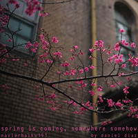 spring is coming, somewhere somehow(naviarhaiku191) by danieldiaz