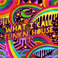 What I Call FunknHouse Vol.1 by Emre K.