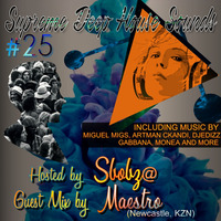 SDHS #25 Guest mix by Maestro by NjabuMaestro