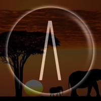 ANDEFFECT - Serengeti by Andeffect