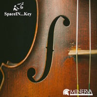 SpaceIN...Key by Spazinfo