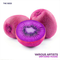 Bill Kraemer & Audio Bigot - Fiya (Original Mix) by The Seed Underground