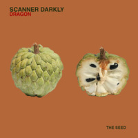Scanner Darkly - Dragon (Original Mix) by The Seed Underground
