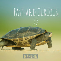 Fast and Curious by MaNuFiK