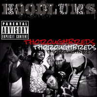 Hoodlums - Thoroughbreds by The Brimstone Lab