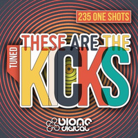 These Are The Kicks - Demo 1 by New Loops