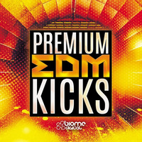 Premium EDM Kicks Demo by New Loops