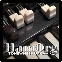 HamOrg v2.0 Beta Demo (SFZ Instrument) by MichaelPicherMusic
