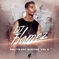 BOLLYWOOD ELECTRO | VOL 2 | DJ FLAMEZ by DJ Flamez