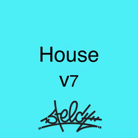 6.12 House V7 by Steech