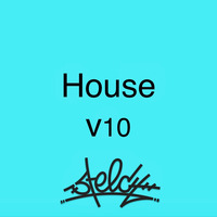 7.12 House V10 by Steech