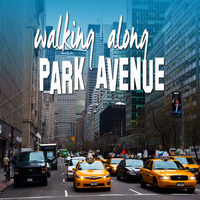 walking along Park Avenue by Chivicke