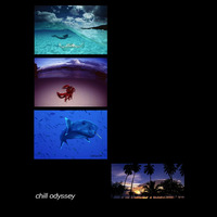 Chill Odyssey Vol. One - 1998/99 ?? by Larkey