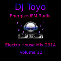 DJ Toyo - EnergizedFM Radio Electro House Mix 2014 - Volume 12 by EnergizedFM