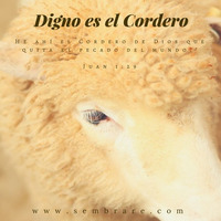 Digno Es El Cordero / Worthy is the Lamb by Carlos R. Martinez by Sembrare Music Ministry