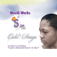 MusiQWorks ft Soul Swissy - Cold Days( Ruffians Vocal Mix Sample) by MusiQWorks