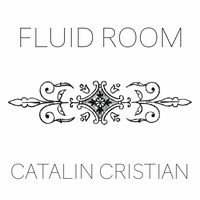 My podcast for Fluid Room on www.pamtengo.com 13.01.2017 by Catalin Cristian