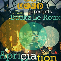 TOUCH OF DEEP APPRECIATION Mix [Buckz le Roux] by TOUCH OF DEEP