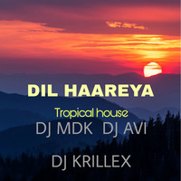 DIL HAAREYA ft. Arjit Singh Tropical house MDK &amp; krillex  AVI by Madhu DK