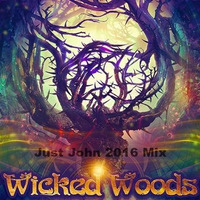 Wicked Woods Music Festival 2016 Mix by just john