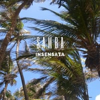 Mi Bien Mi Mal by Samba Insensata