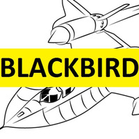 Blackbird Mix 014 by LESLIE LELLO