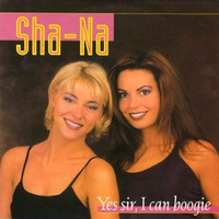 Yes Sir, I Can Boogie (Nederlandstalige Versie) by Sha-Na