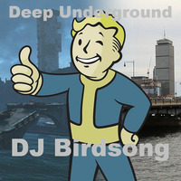 Deep Underground by DJ Birdsong